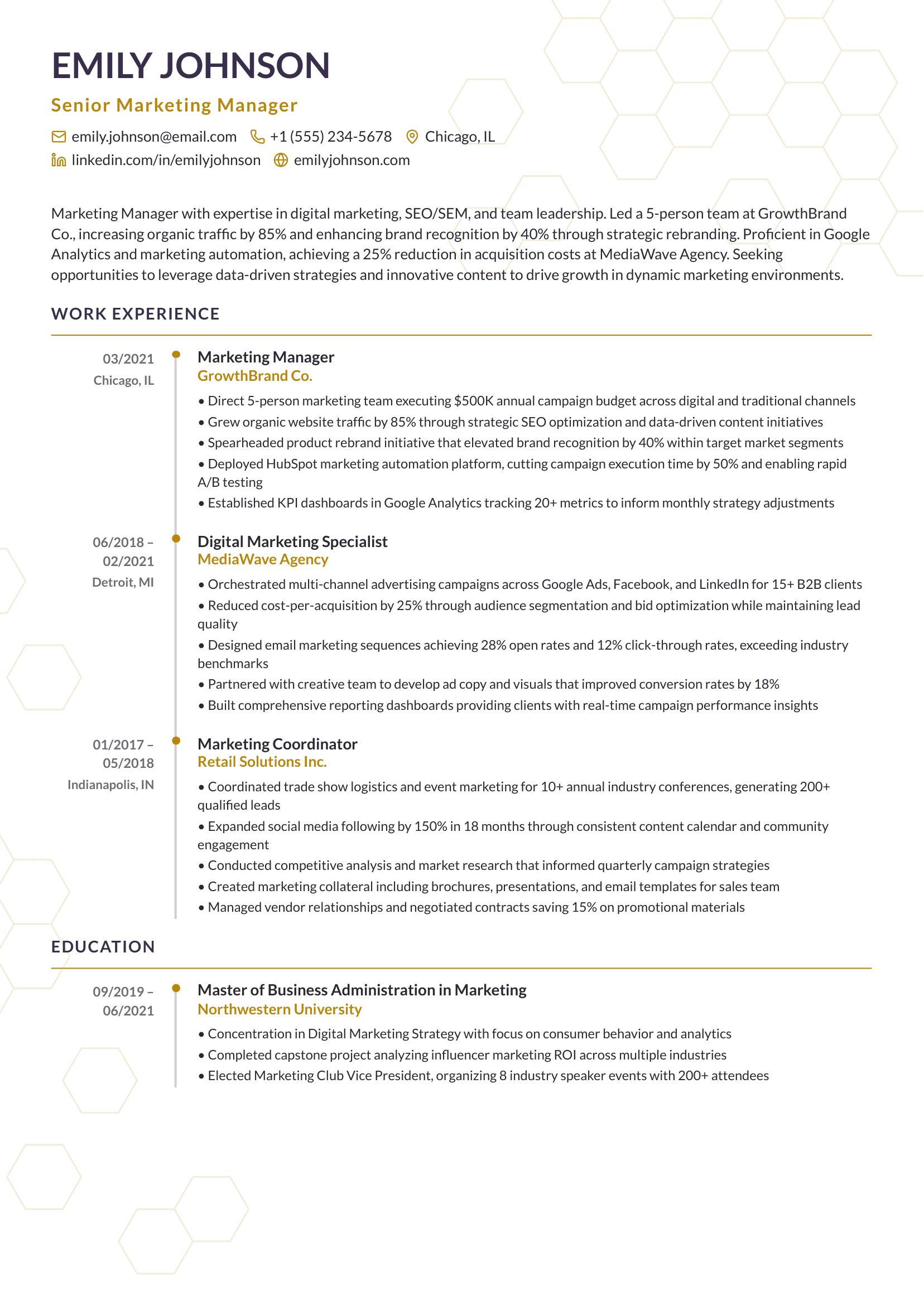 Meridian resume template preview
