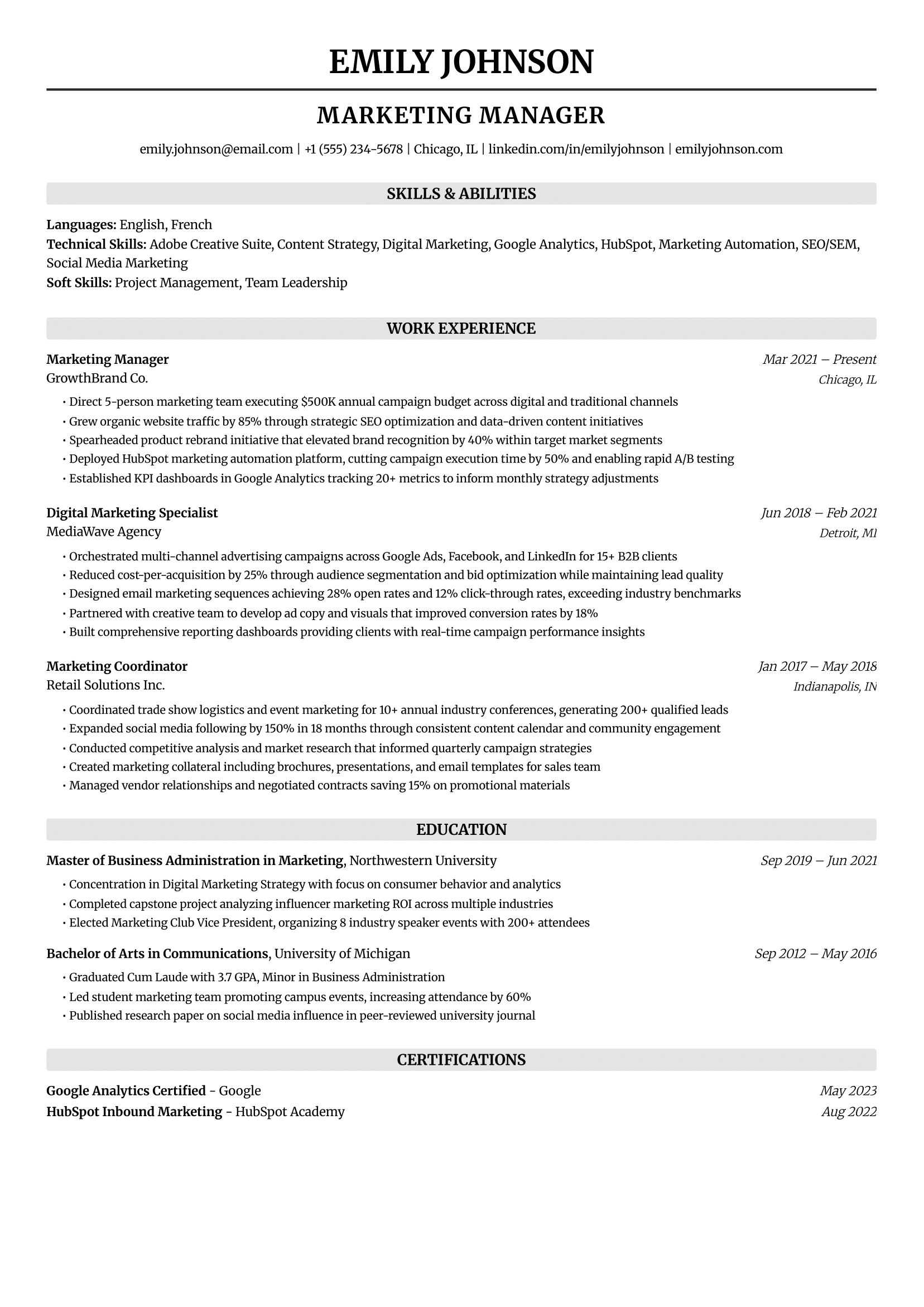 Professional resume template preview